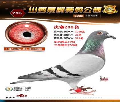 ɽ����i�Qِ235��