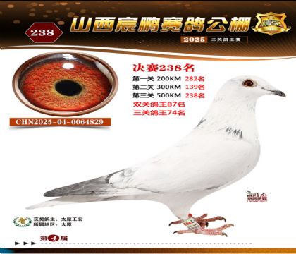 ɽ����i�Qِ238��