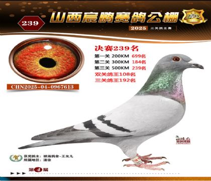 ɽ����i�Qِ239��