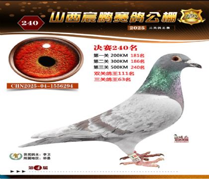 ɽ����i�Qِ240��