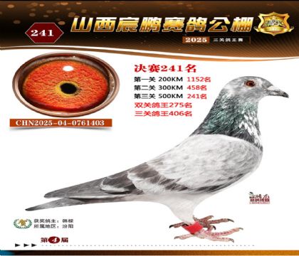 ɽ����i�Qِ241��