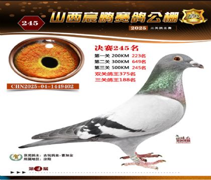 ɽ����i�Qِ245��