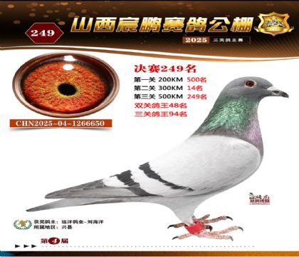 ɽ����i�Qِ249��