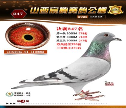 ɽ����i�Qِ247��