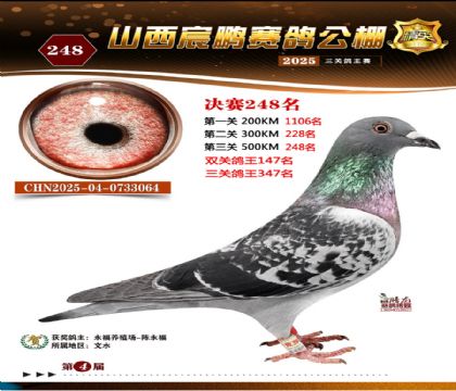 ɽ����i�Qِ248��