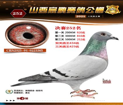 ɽ����i�Qِ252��