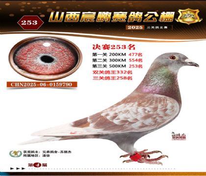 ɽ����i�Qِ253��