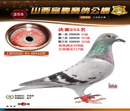 ɽ����i�Qِ255��