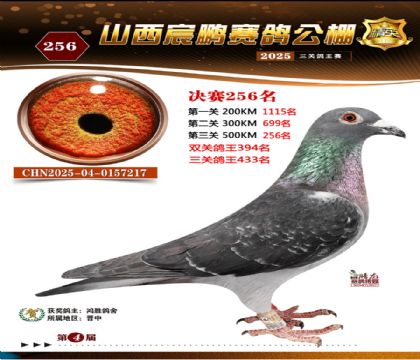 ɽ����i�Qِ256��