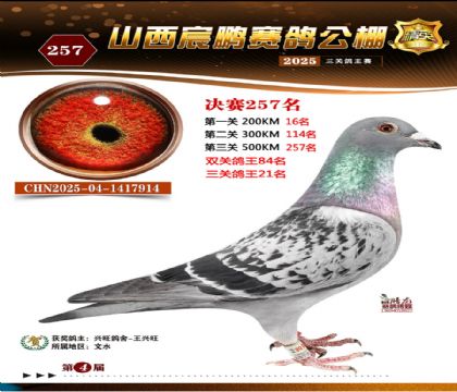 ɽ����i�Qِ257��