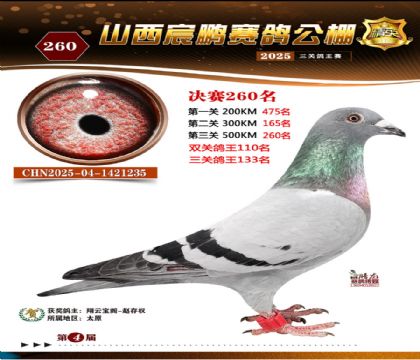 ɽ����i�Qِ260��