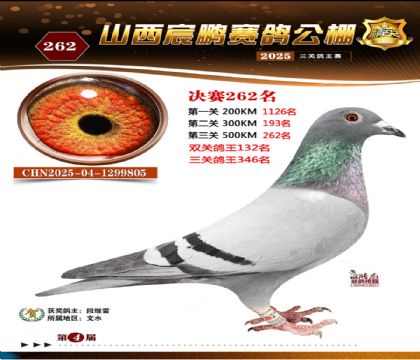 ɽ����i�Qِ262��