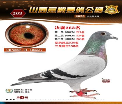 ɽ����i�Qِ263��