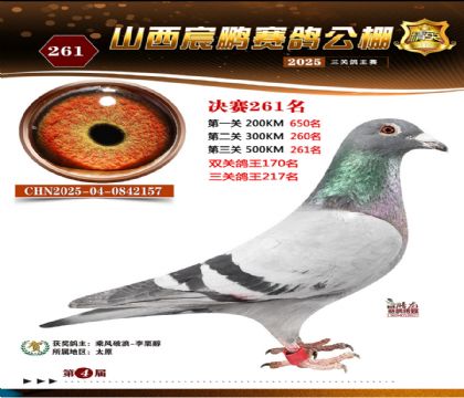 ɽ����i�Qِ261��