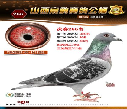 ɽ����i�Qِ266��