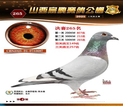 ɽ����i�Qِ265��