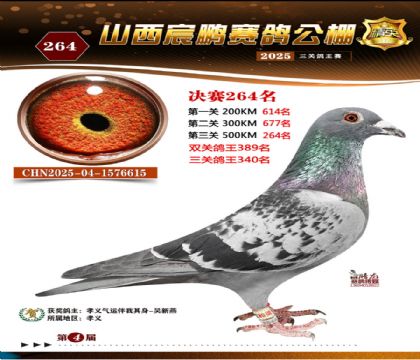 ɽ����i�Qِ264��