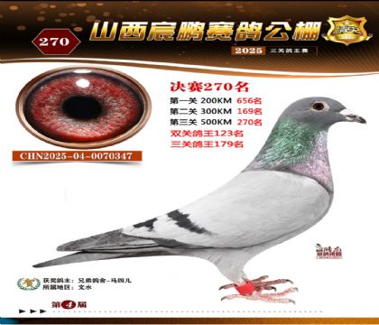 ɽ����i�Qِ270��