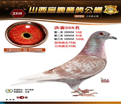 ɽ����i�Qِ268��