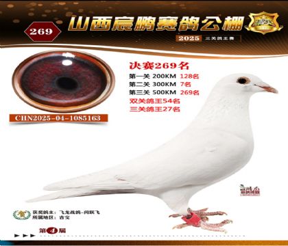 ɽ����i�Qِ269��