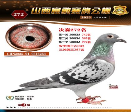 ɽ����i�Qِ272��