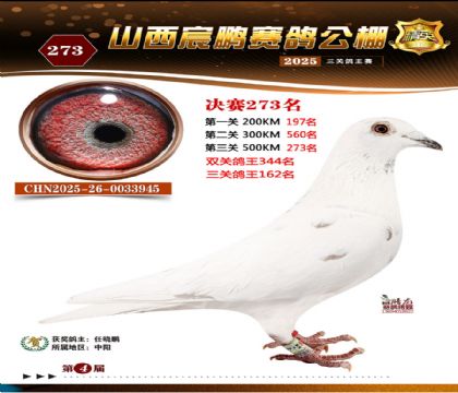 ɽ����i�Qِ273��