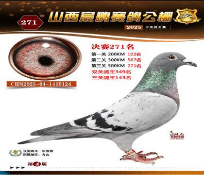 ɽ����i�Qِ271��