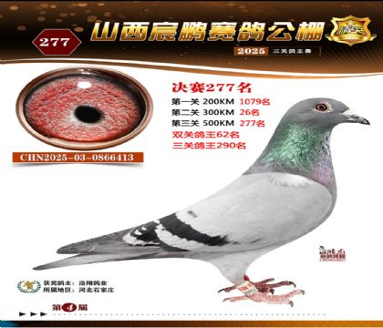 ɽ����i�Qِ277��