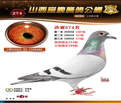 ɽ����i�Qِ274��