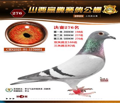 ɽ����i�Qِ276��