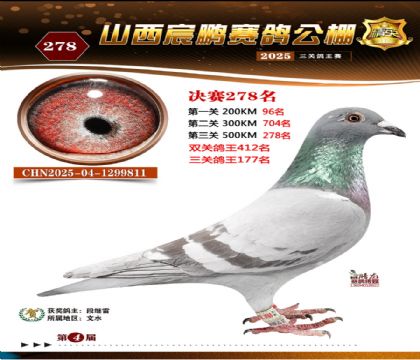 ɽ����i�Qِ278��