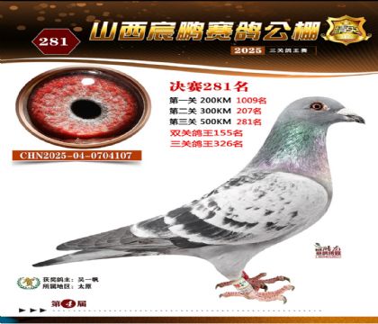 ɽ����i�Qِ281��