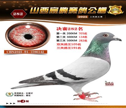 ɽ����i�Qِ282��