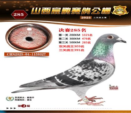 ɽ����i�Qِ285��