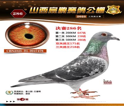 ɽ����i�Qِ286��