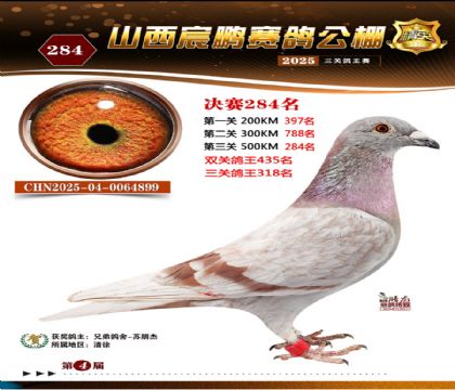 ɽ����i�Qِ284��