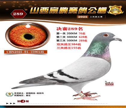 ɽ����i�Qِ289��