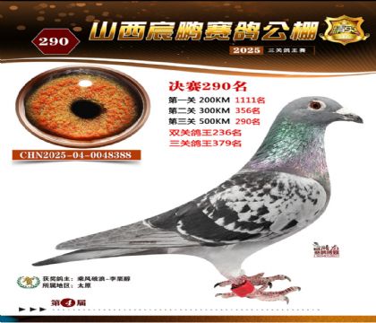 ɽ����i�Qِ290��