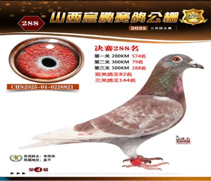 ɽ����i�Qِ288��