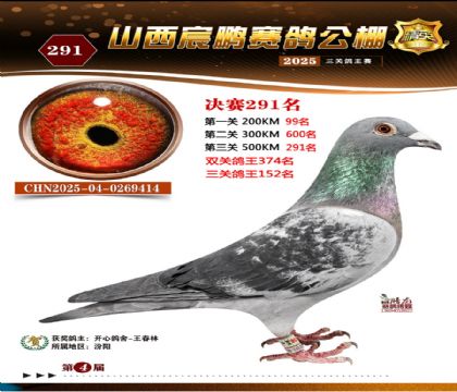 ɽ����i�Qِ291��