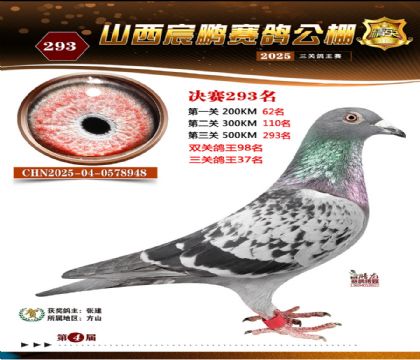 ɽ����i�Qِ293��