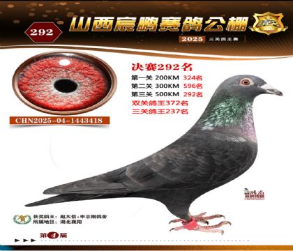 ɽ����i�Qِ292��