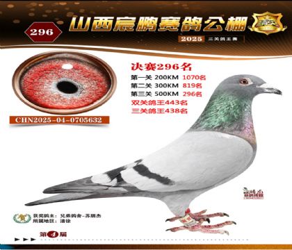 ɽ����i�Qِ296��