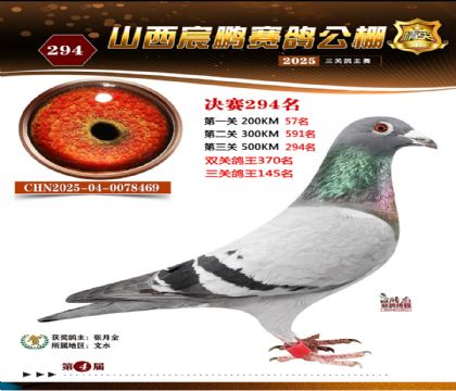 ɽ����i�Qِ294��