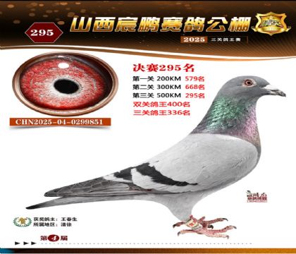 ɽ����i�Qِ295��