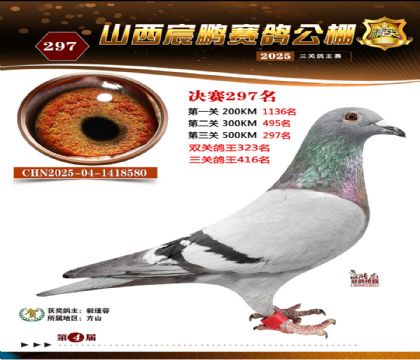 ɽ����i�Qِ297��