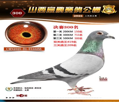 ɽ����i�Qِ300��