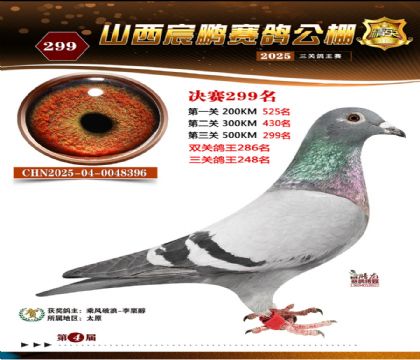 ɽ����i�Qِ299��