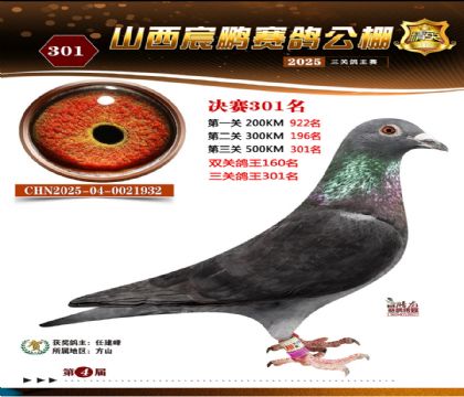 ɽ����i�Qِ301��