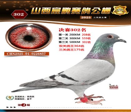 ɽ����i�Qِ302��